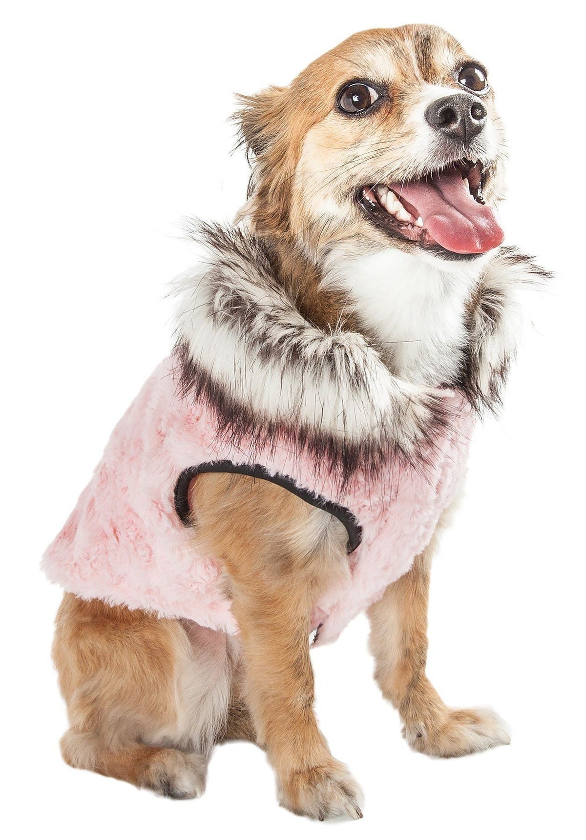 Fashion Dog Coat product image 2