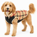 Dog Jacket product image 1