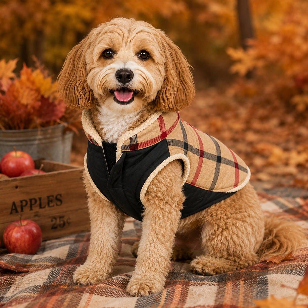 Dog Jacket product image 4