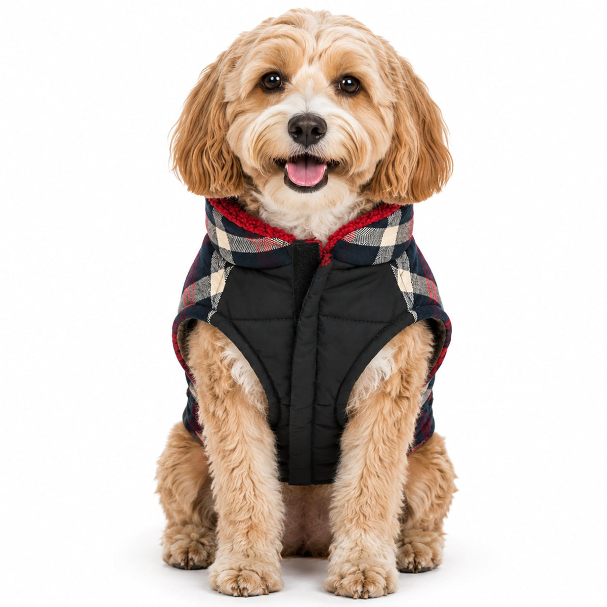 Dog Jacket product image 11