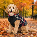 Dog Jacket product image 13