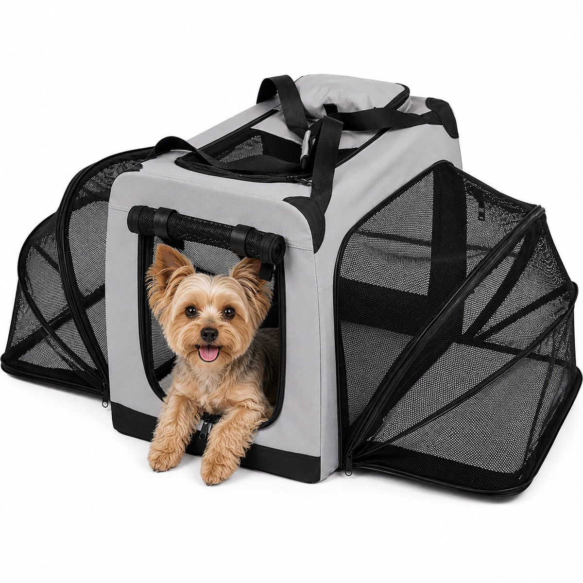 Soft-Sided Dog Crate product image 1