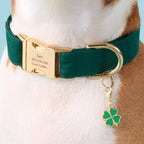 Dog Collar product image 5