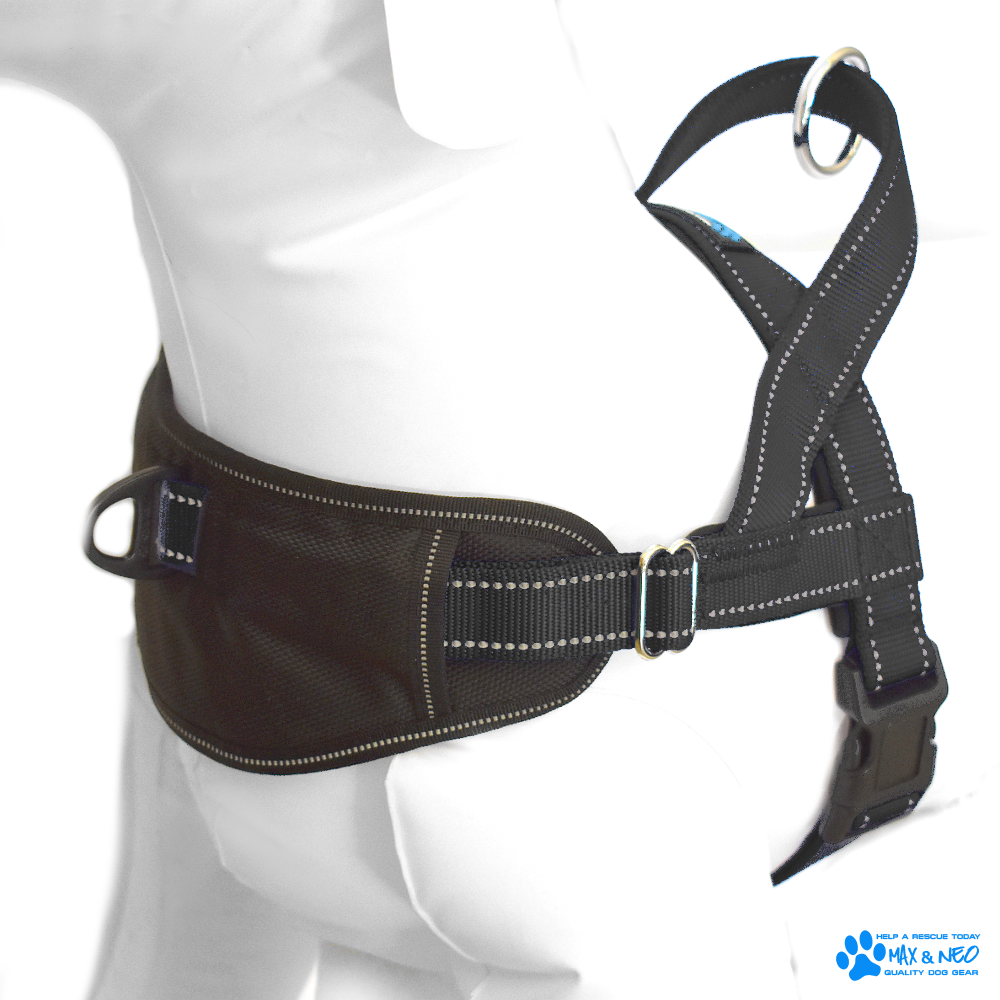 Dog Harness product image 5