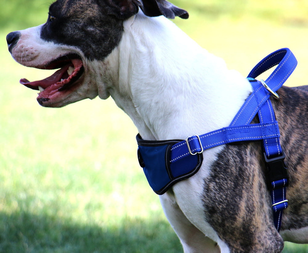Dog Harness product image 10