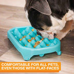 Slow Feeder Bowl product image 6
