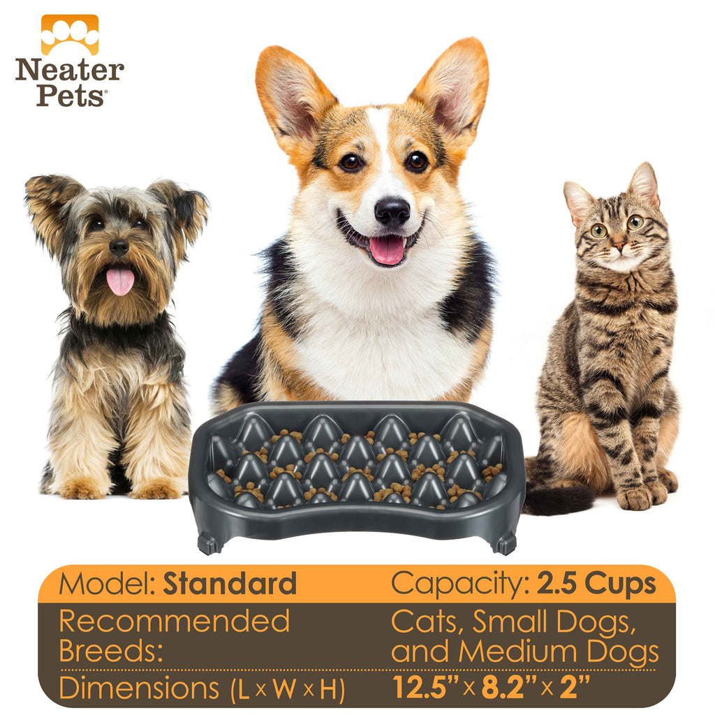Slow Feeder Bowl product image 10