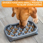 Slow Feeder Bowl product image 75