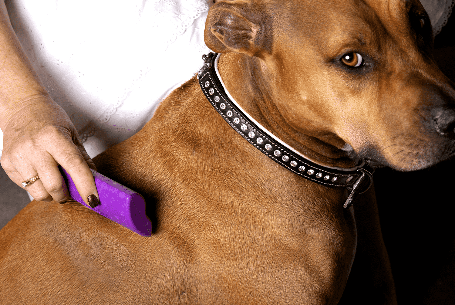 Pet Deshedding Tool product image 7