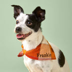 Dog Bandana product image 3
