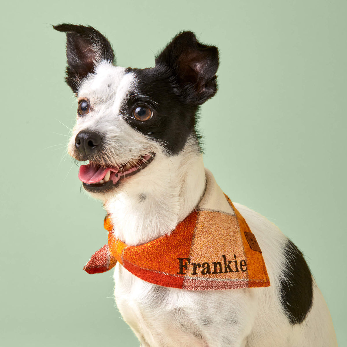 Dog Bandana product image 3