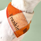 Dog Bandana product image 4