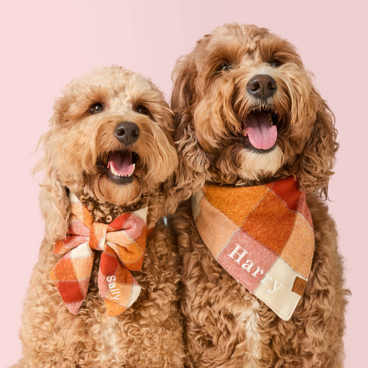 Dog Bandana product image 5