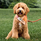 Dog Bandana product image 6