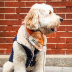 Dog Bandana product image 7