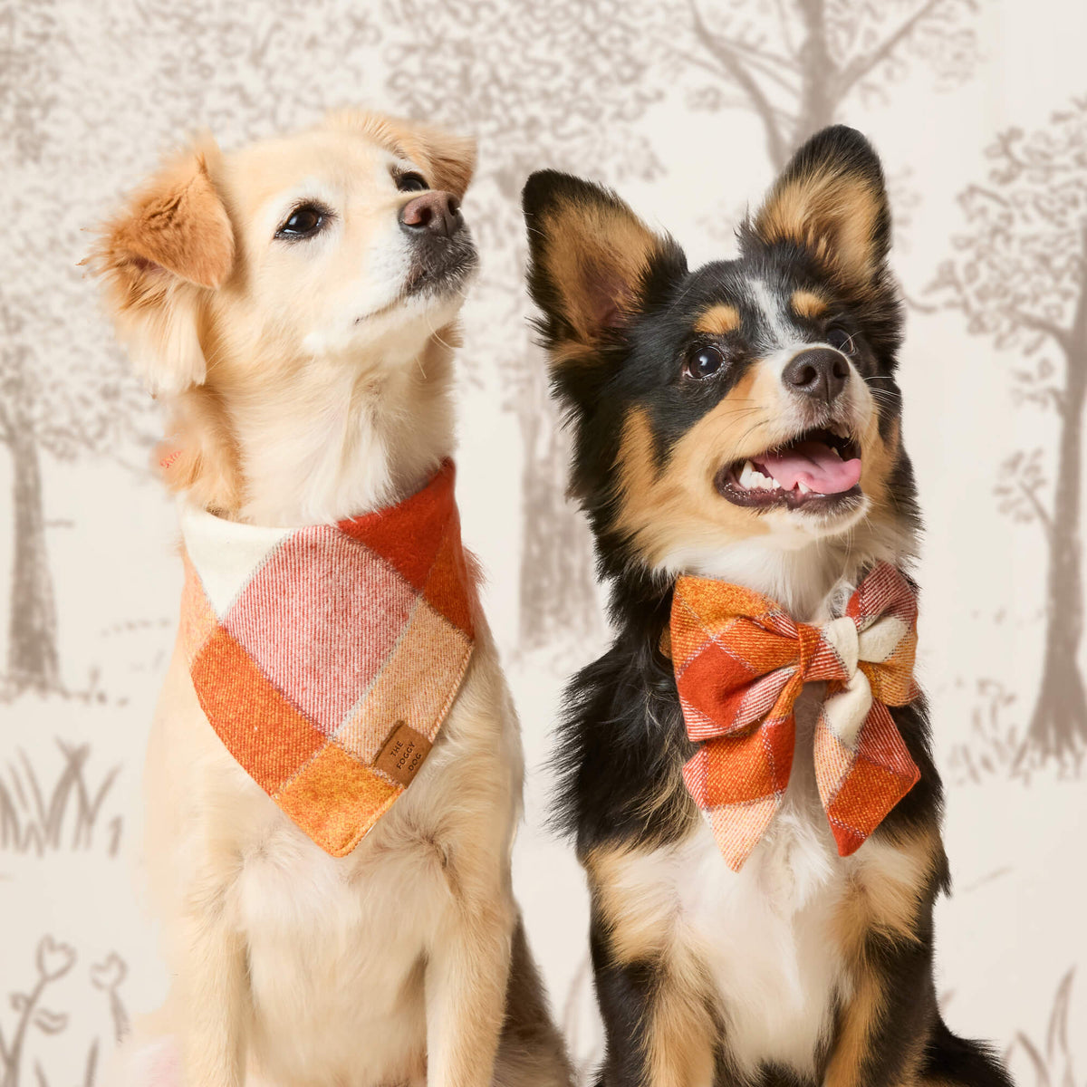 Dog Bandana product image 8