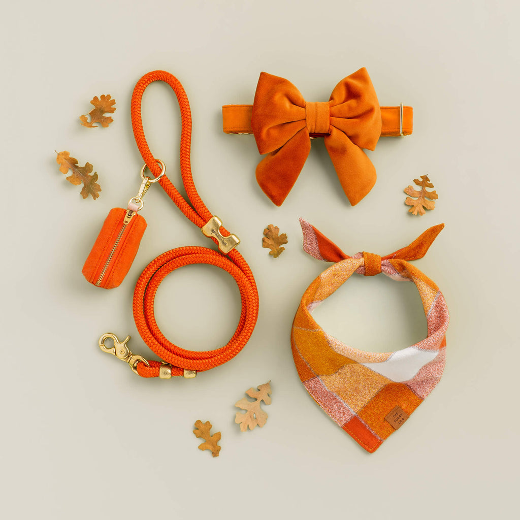 Dog Bandana product image 14