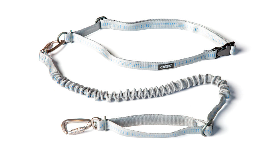 Hands-Free Dog Leash product image 2