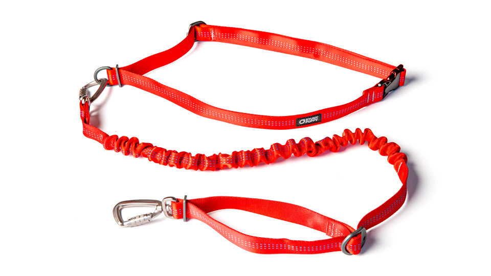 Hands-Free Dog Leash product image 3