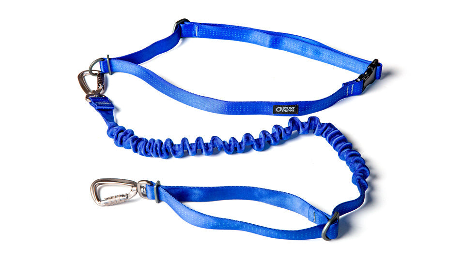 Hands-Free Dog Leash product image 4