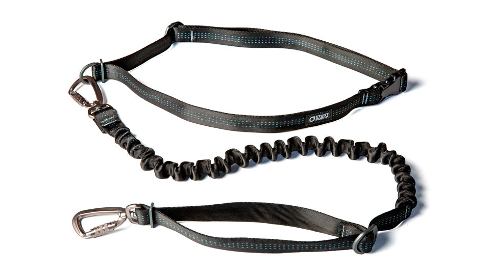 Hands-Free Dog Leash product image 5