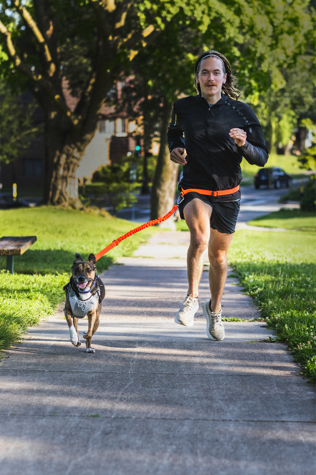 Hands-Free Dog Leash product image 6