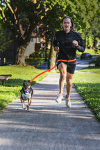 Hands-Free Dog Leash product image 6