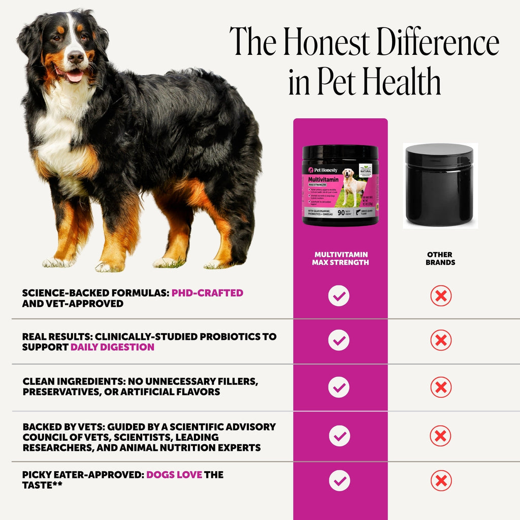 Max-Strength Dog Multivitamin Soft Chews product image 5