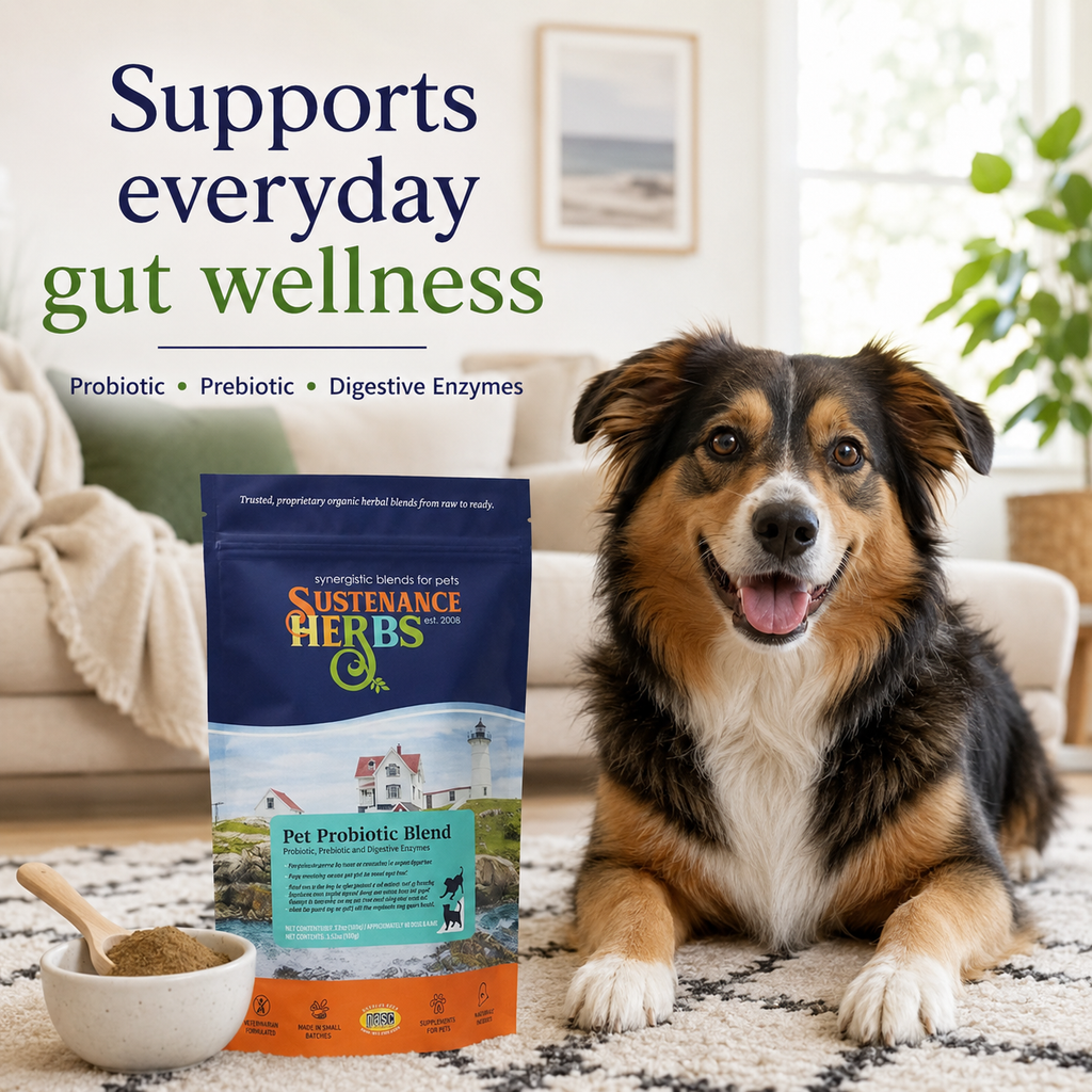 Pet Probiotic & Enzyme Blend product image 1