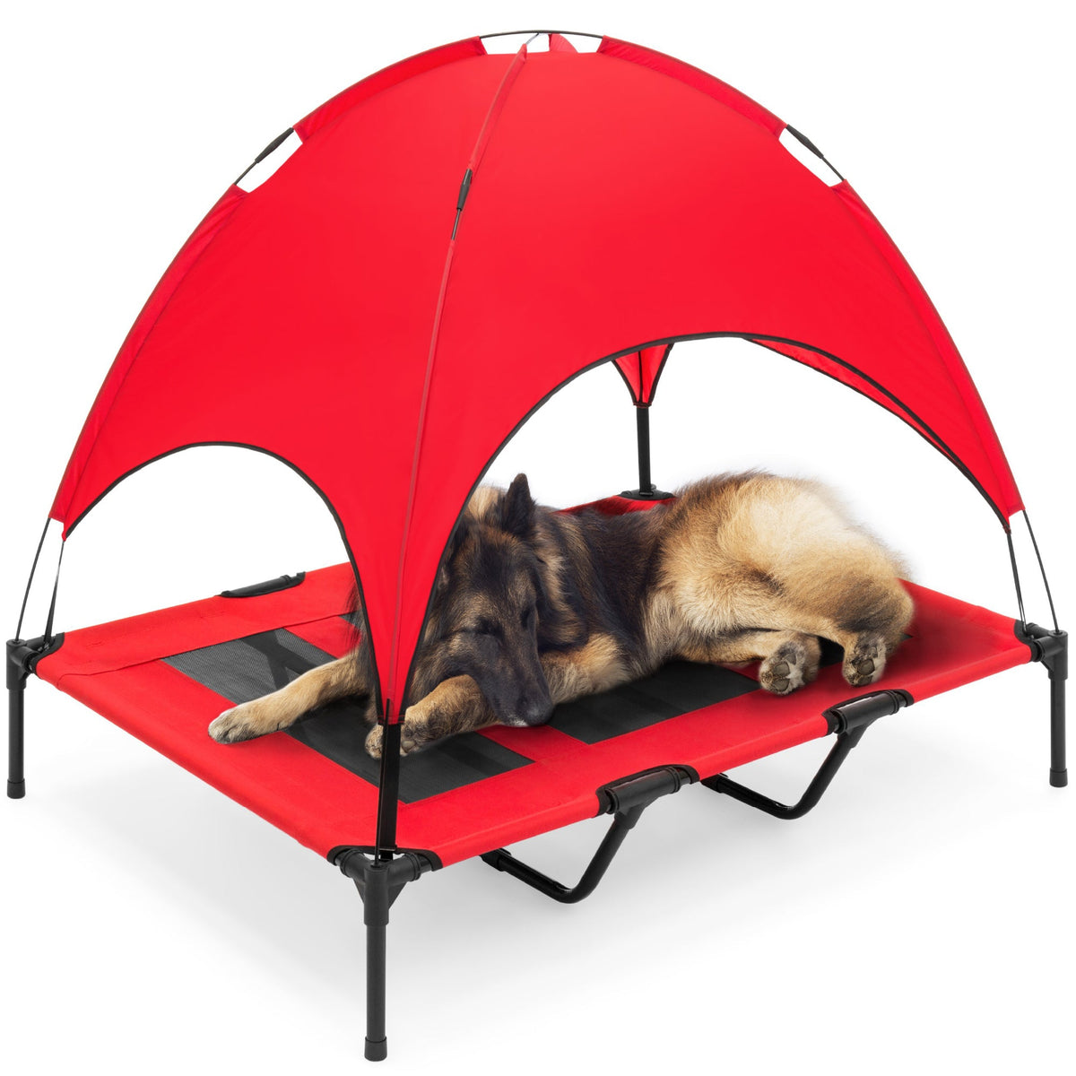 Elevated Cooling Dog Cot, 48-Inch Outdoor Bed with Removable Canopy and Carry Bag for Dogs up to 100 lb source image 1