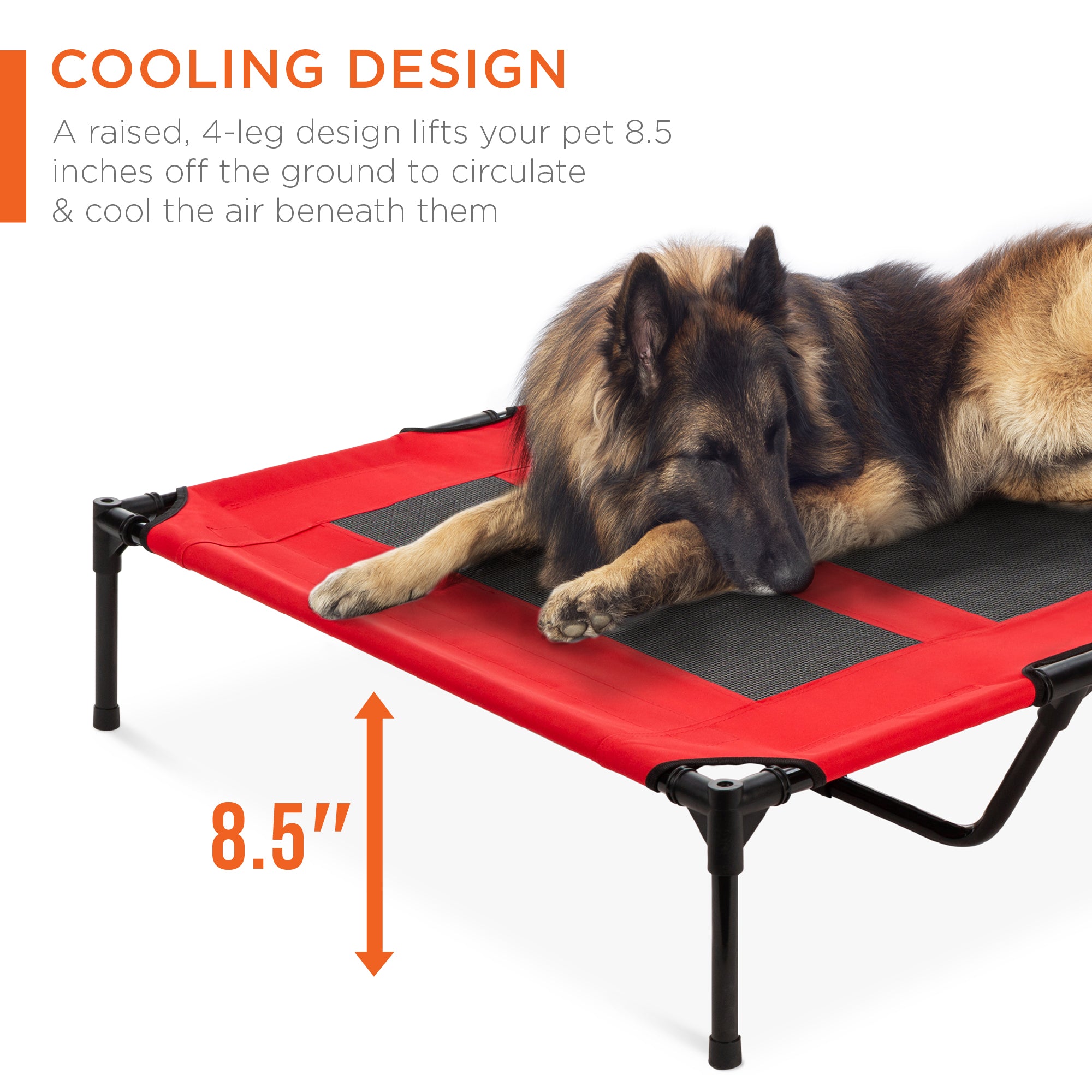 Elevated Cooling Dog Cot, 48-Inch Outdoor Bed with Removable Canopy and Carry Bag for Dogs up to 100 lb source image 3