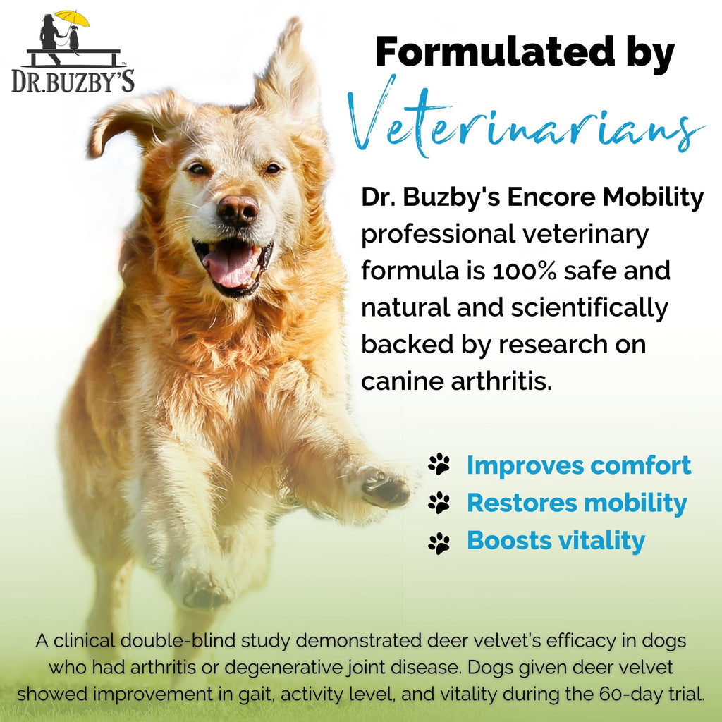 Dog Joint Supplement product image 2