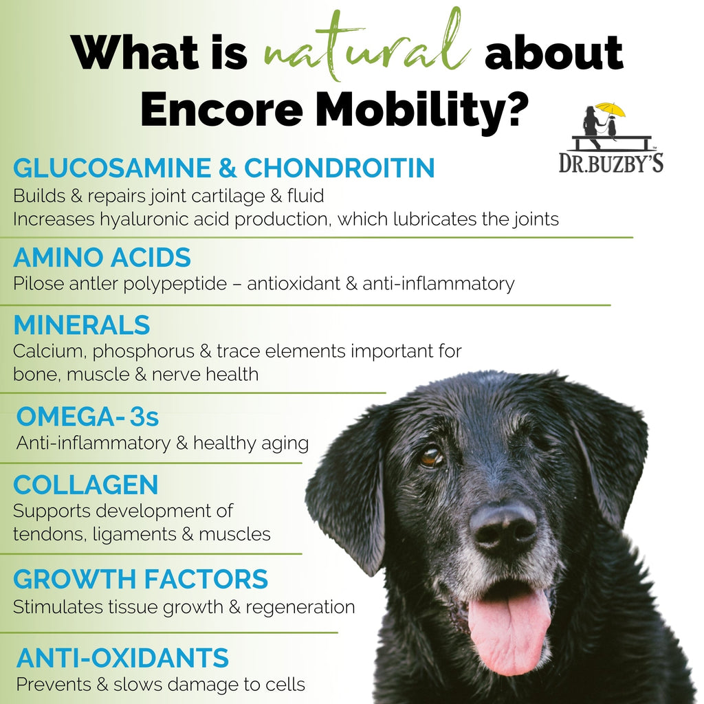 Dog Joint Supplement product image 4