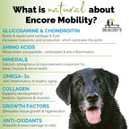 Dog Joint Supplement product image 4