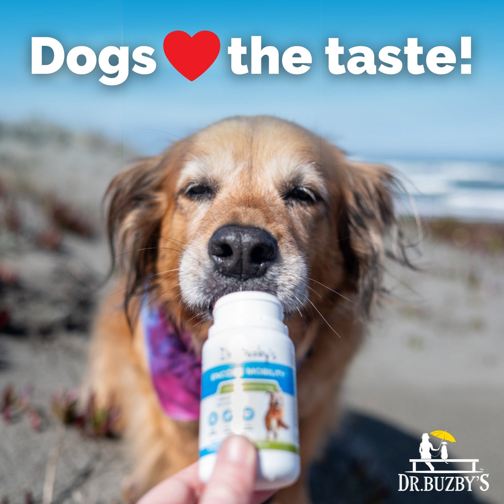 Dog Joint Supplement product image 6