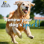 Dog Joint Supplement product image 9