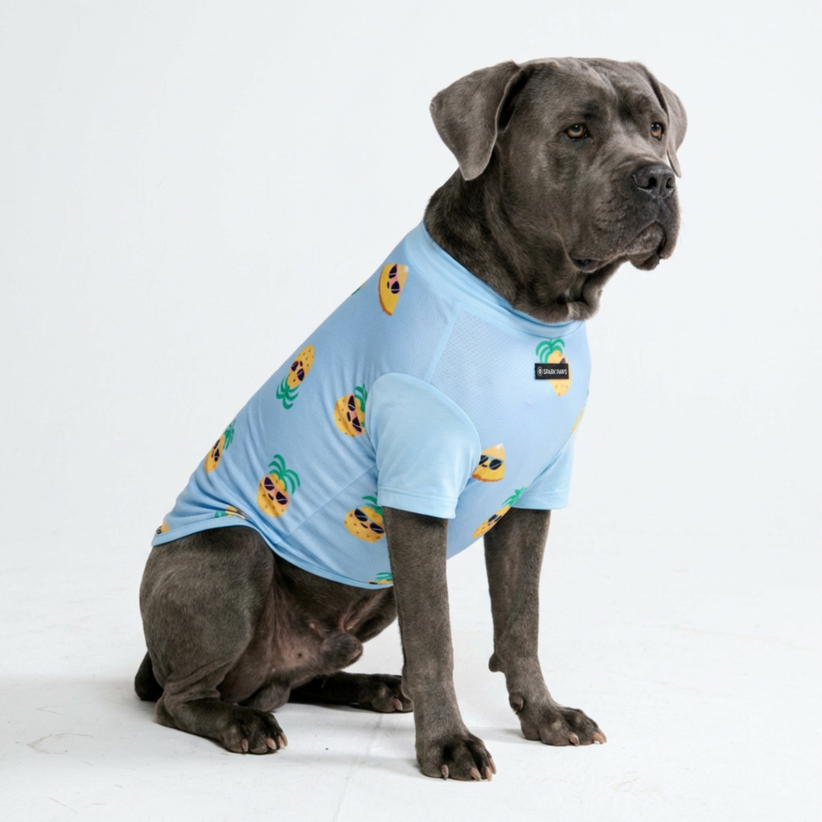 UPF 30 Printed Dog Sun Shirt product image 20