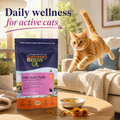 Cat Herbal Supplement product image 1