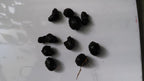 Red Aquarium Plant Combo product image 13