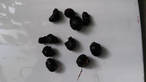 Red Aquarium Plant Combo product image 13