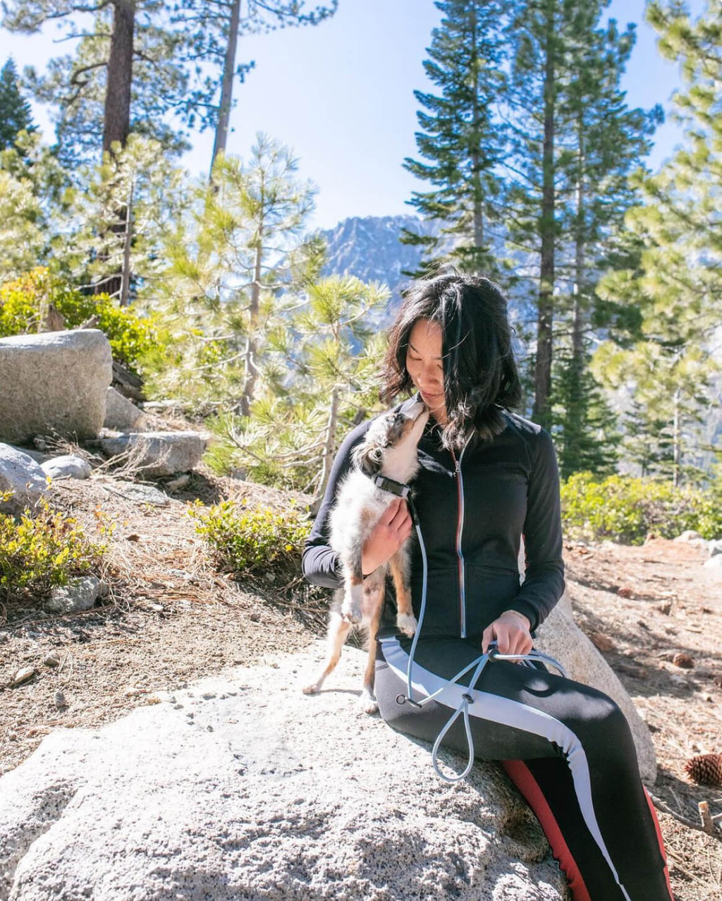 Hands-Free Leash product image 5