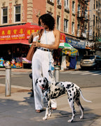 Hands-Free Leash product image 9