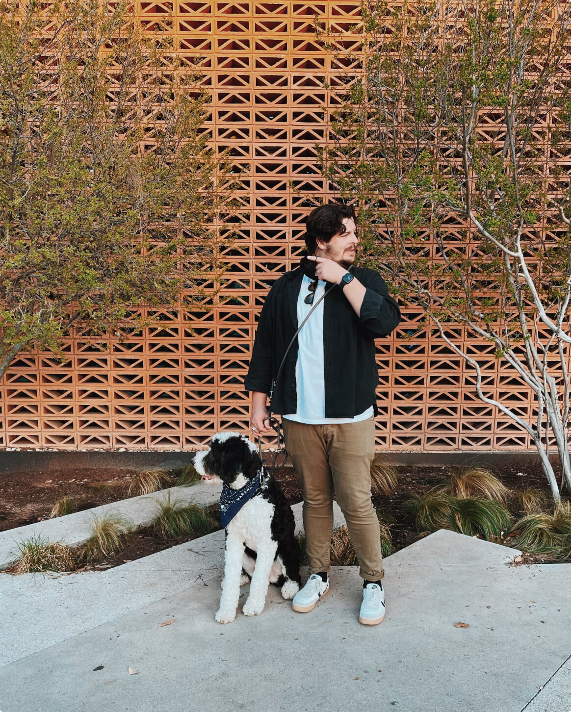 Hands-Free Leash product image 20