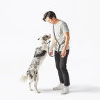 Hands-Free Leash product image 43