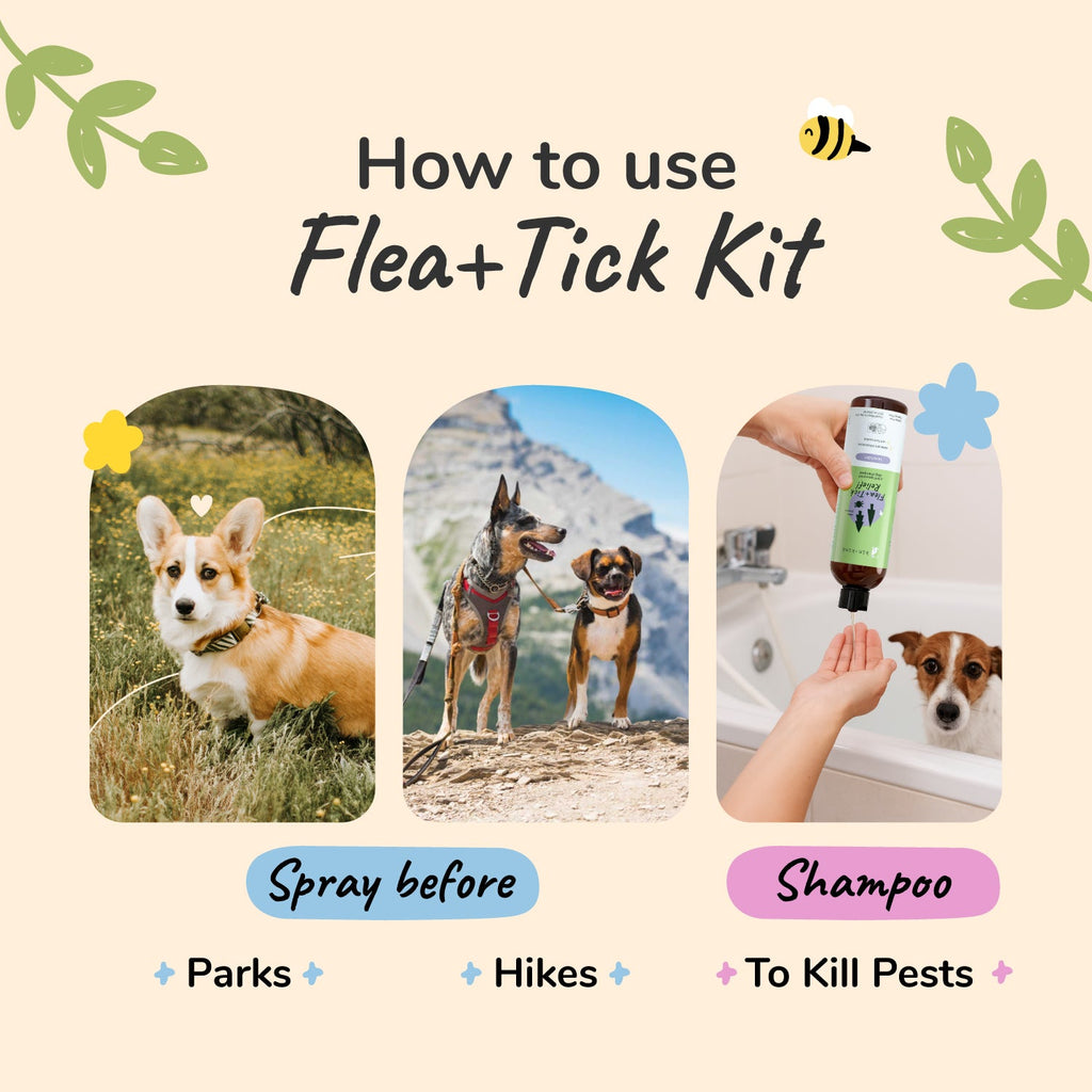 Flea Tick Protection Set product image 8