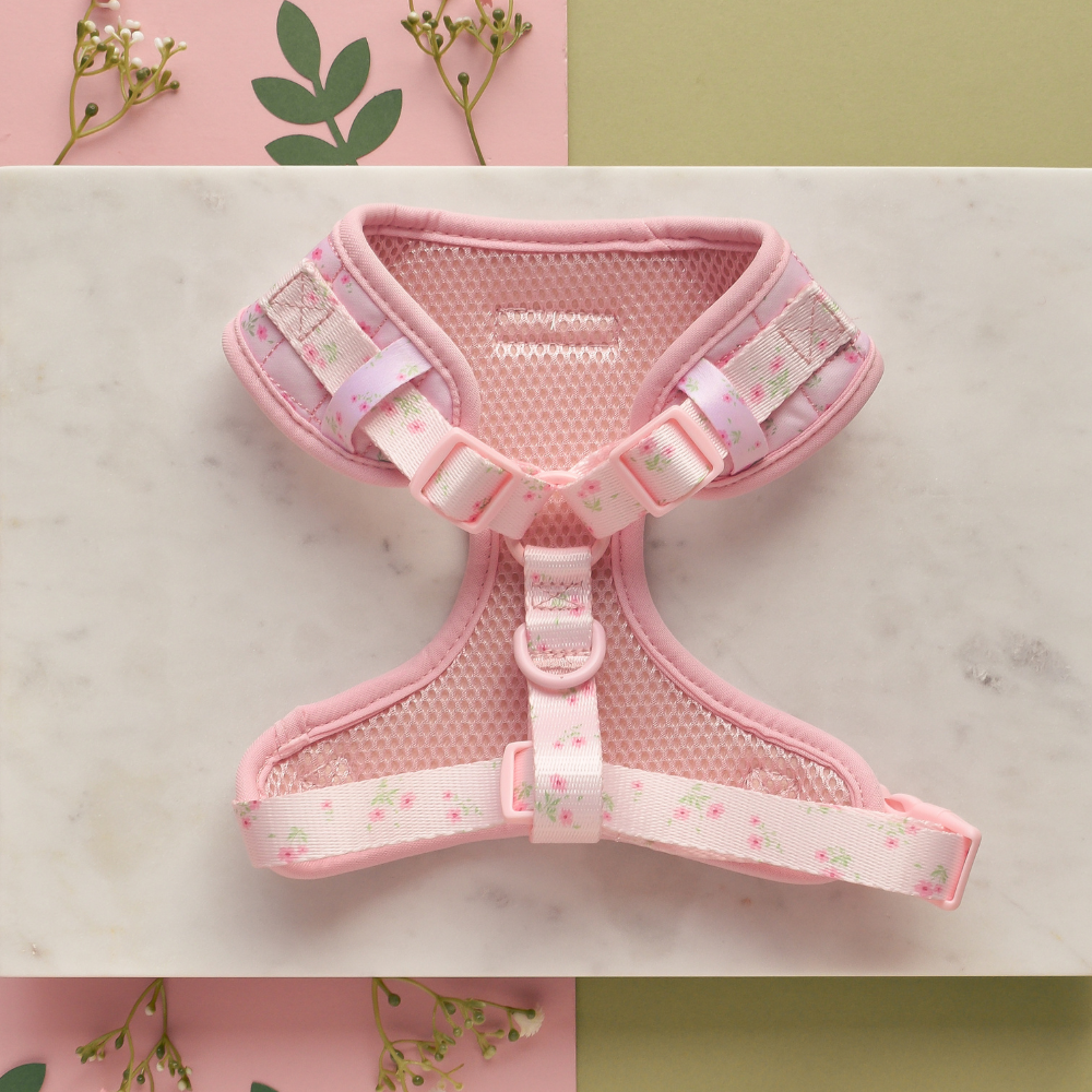 Adjustable Dog Harness product image 4