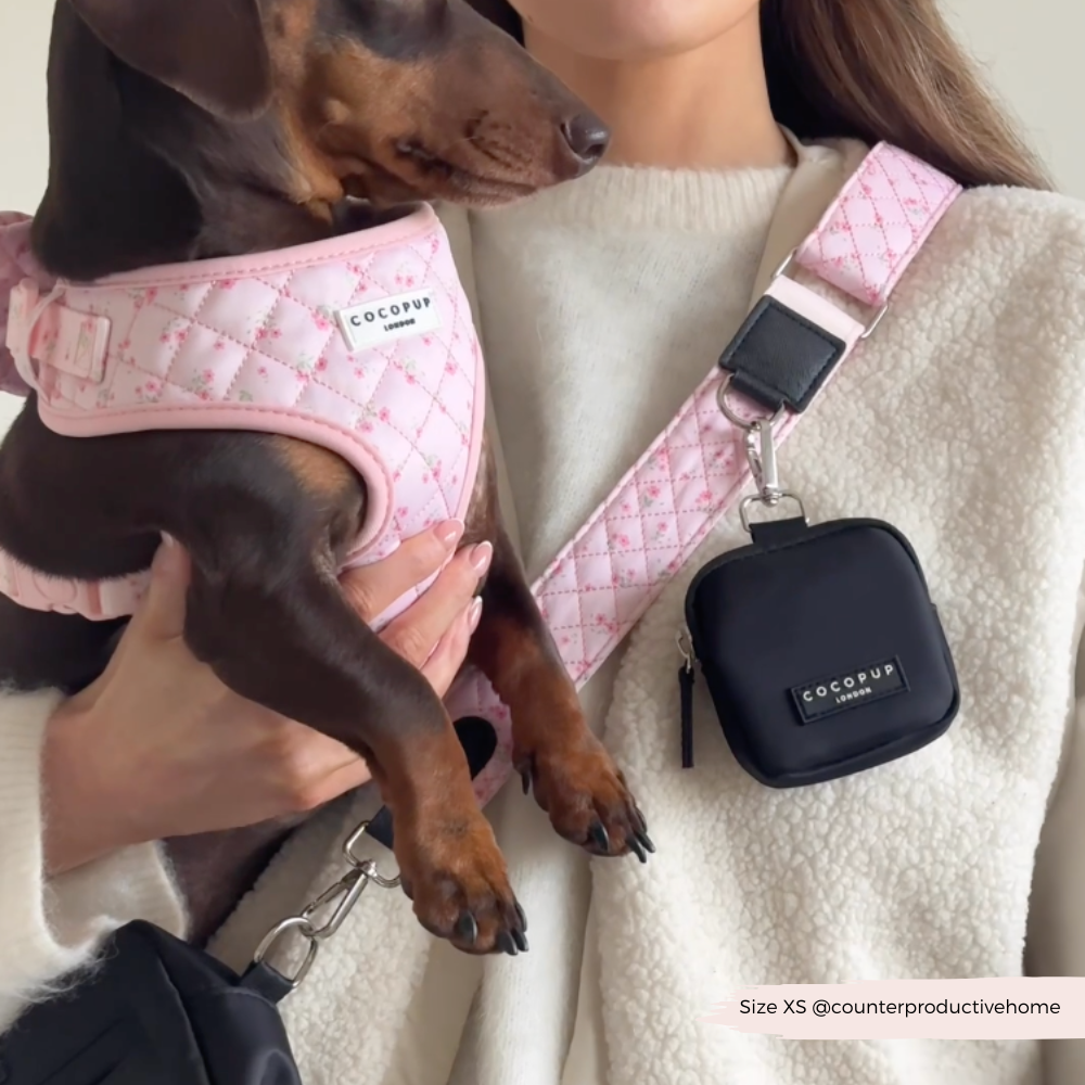 Adjustable Dog Harness product image 6