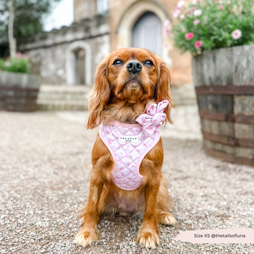 Adjustable Dog Harness product image 7