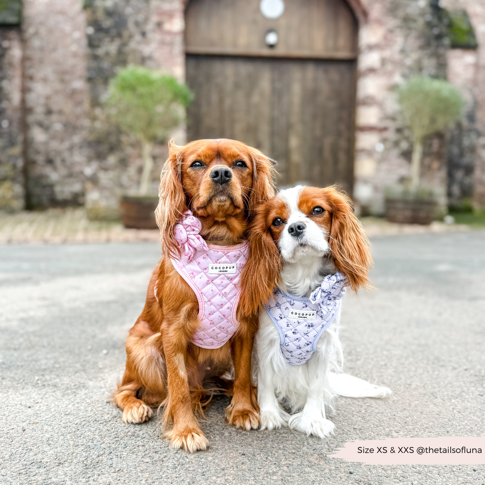 Adjustable Dog Harness product image 8