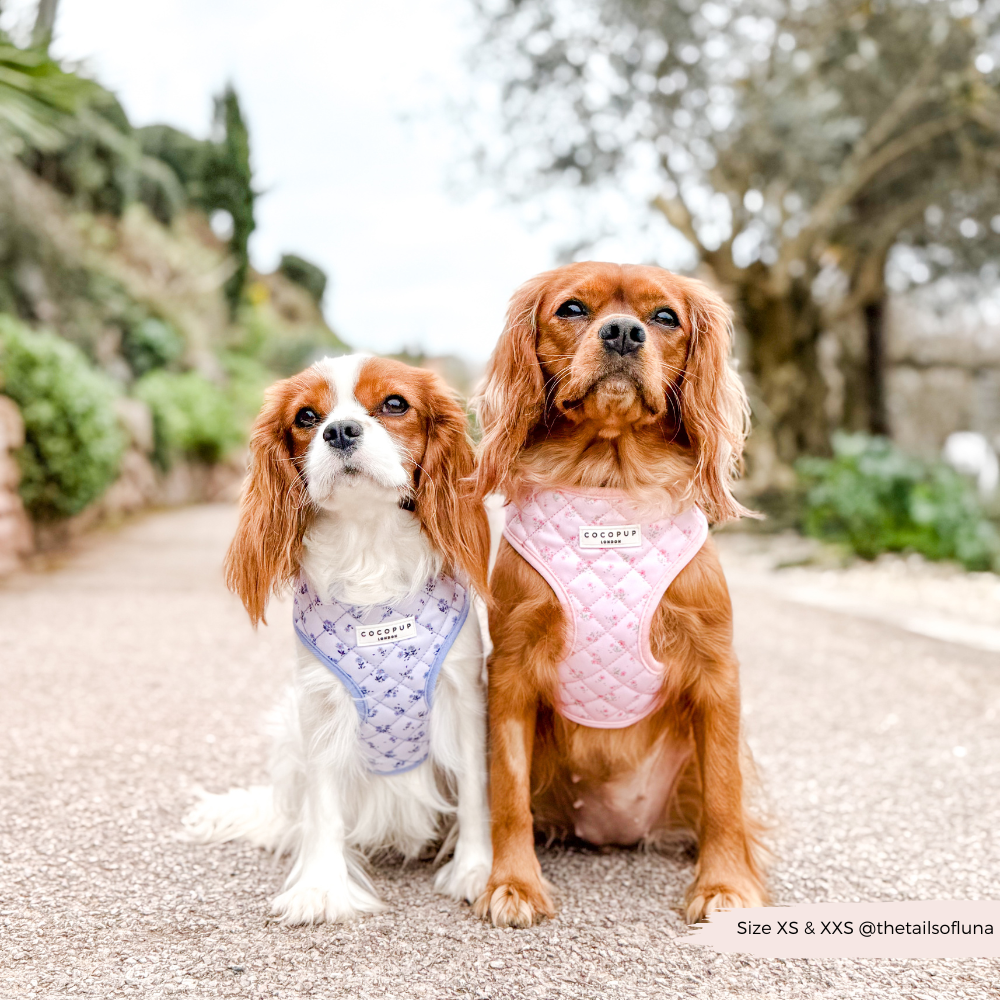 Adjustable Dog Harness product image 9